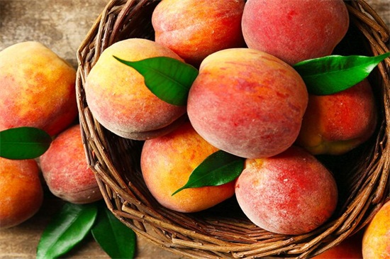 桃子的品种