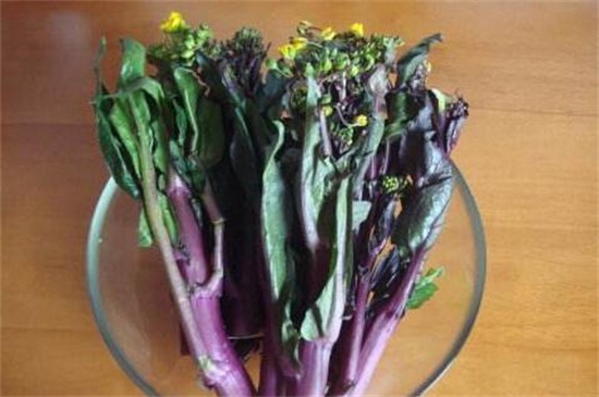 紫色叶子的菜，盘点十种营养价值高的蔬菜