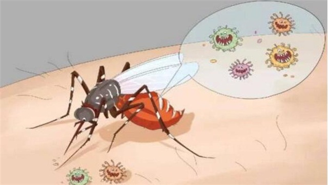 怎么灭蚊子，六种方法轻松消除蚊子"