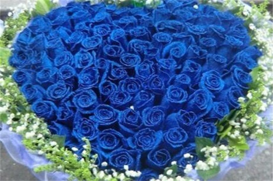 蓝色妖姬花语11朵