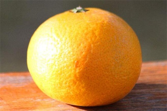 橘子成熟的季节是几月