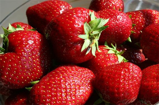 草莓季节是几月份