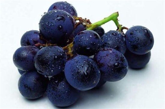 葡萄种子催芽方法