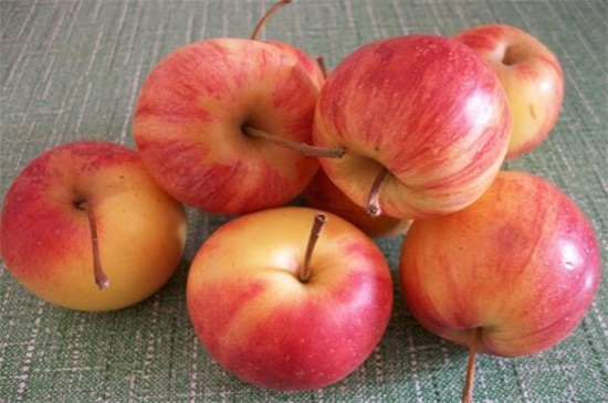 海棠果是不是小苹果