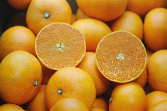 目前最好的柑橘品种，盘点十种优良品种