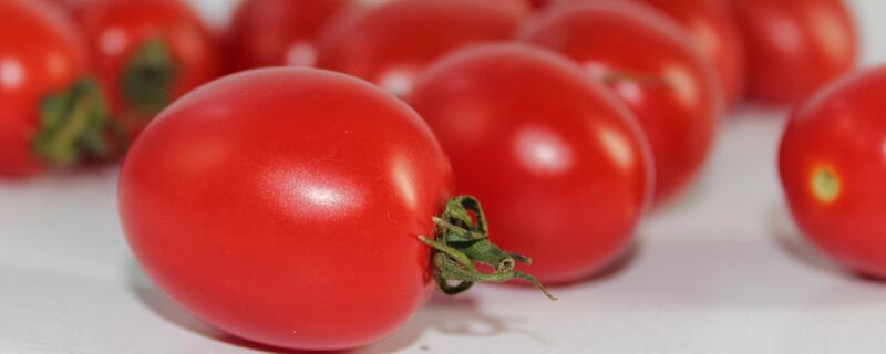 小西红柿叫什么名字