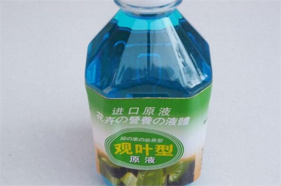 绿萝营养液的使用方法