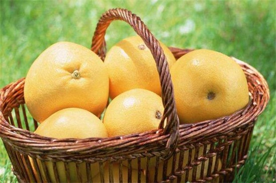 吃柚子的季节是几月