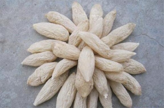 麦冬价格是多少钱一斤，大概在20～60元钱一斤