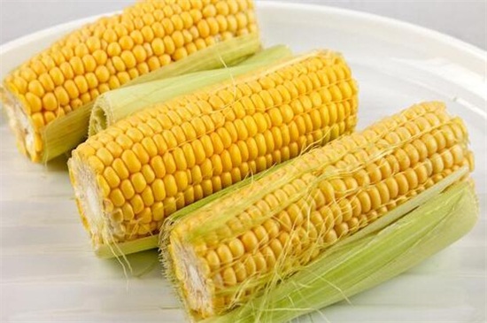 玉米是凉性还是热性
