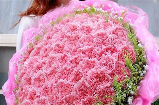 粉色康乃馨花语是什么