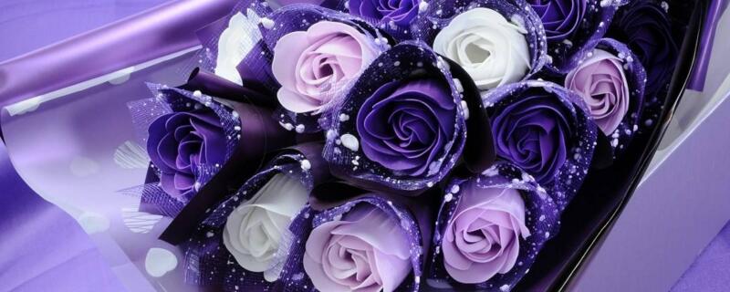 紫色玫瑰花语是什么 花语网