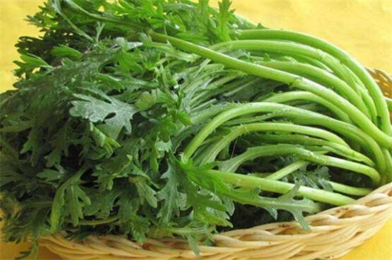 绿叶菜有哪些，盘点十大最常见的绿叶菜