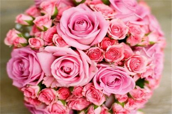 粉玫瑰花语