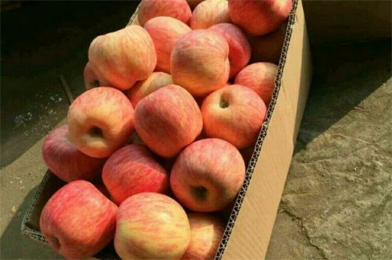 一般家庭如何储藏苹果