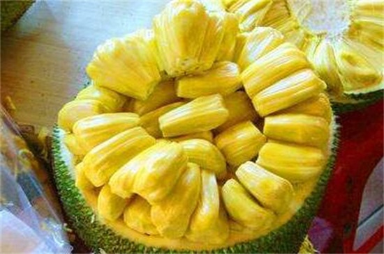 菠萝蜜一次可以吃几颗，一次食用3～5颗为宜