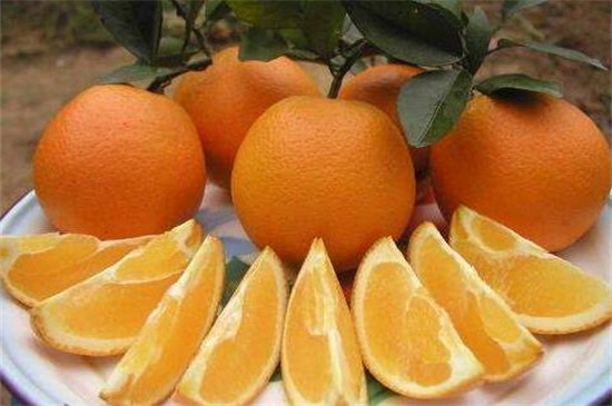 每天吃一个橙子坚持1年，可预防胆固醇