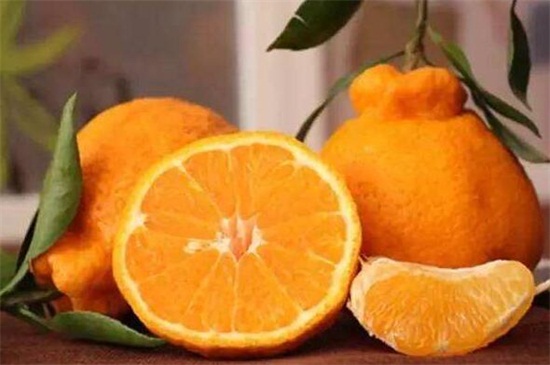 丑橘为什么叫丑橘