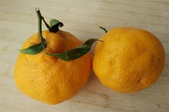 丑橘上火吗