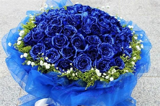 蓝玫瑰花语