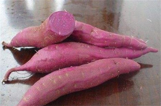 中国哪里产的紫薯最好