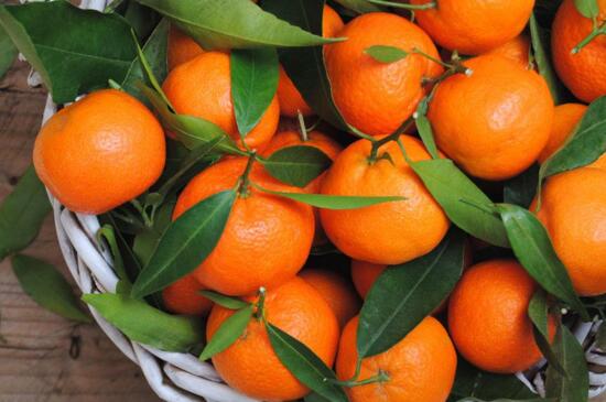 一天吃几个橙子最好，一天1～5个可美容养颜