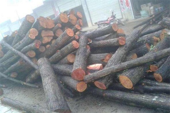 木材种类