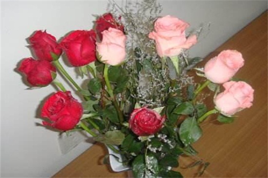 玫瑰花放家哪里风水好，可放客厅增加桃花