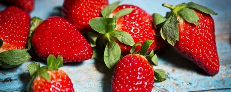 几月是吃草莓的季节