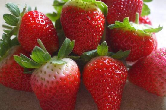 草莓有多少个品种