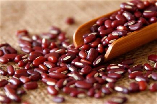 红豆红小豆赤小豆的区别，形态口感营养价值不同