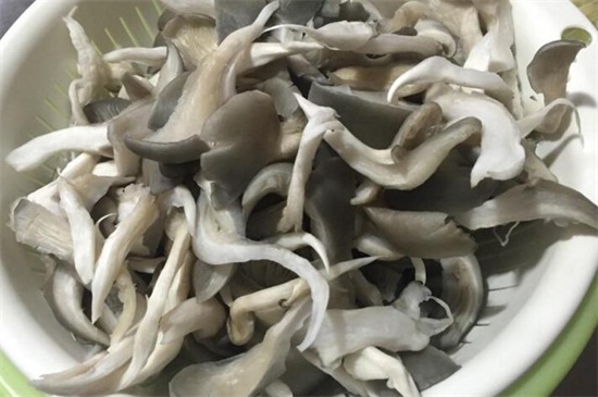 蘑菇有多少种，盘点5种常见高营养蘑菇
