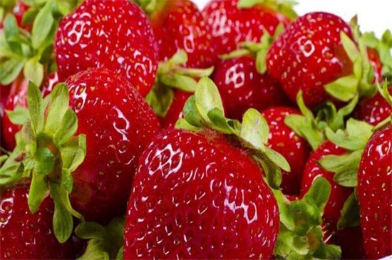 草莓上市时间