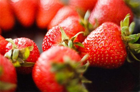 草莓上市时间