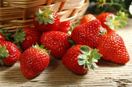 草莓当季是什么时候