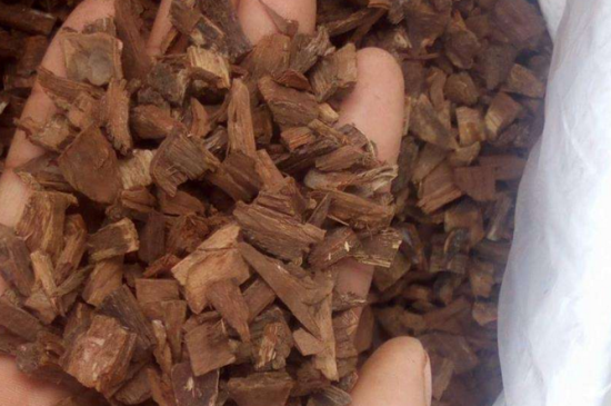 柳树皮发酵的简单方法