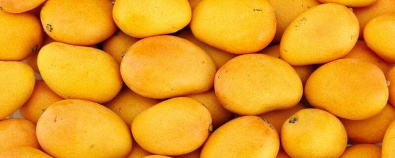 芒果哪里产的好吃