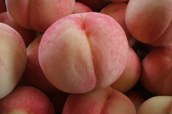 桃是寒性水果吗