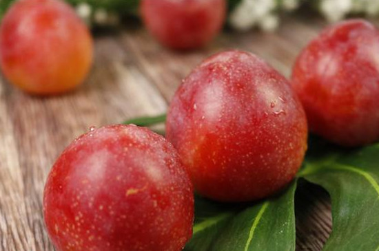 樱桃李的果子能吃吗