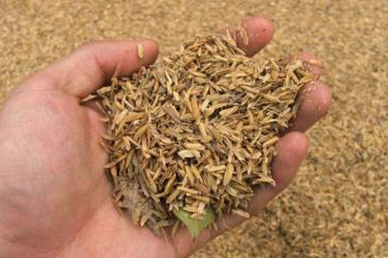 稻谷壳怎么做营养土