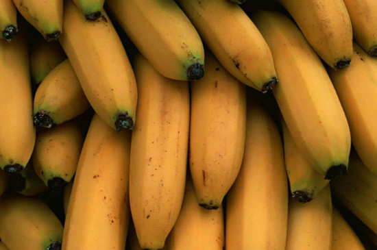 香蕉是寒性水果吗