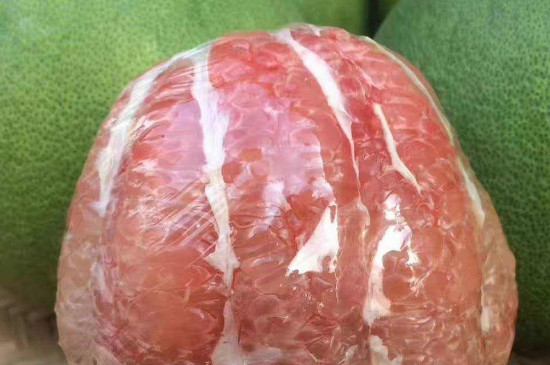 泰国红宝石柚种植温度要求