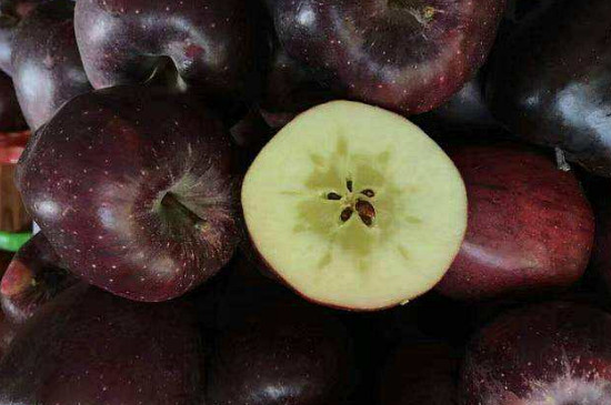 紫红色的苹果叫什么