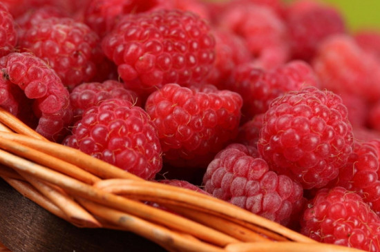树莓是什么季节的水果