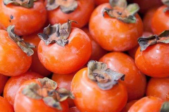 冻柿子是什么柿子