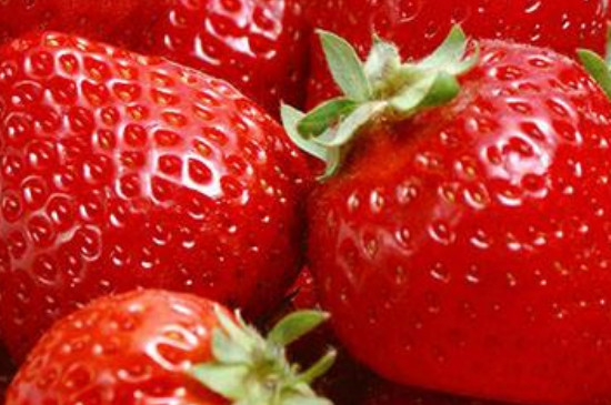 红宝玉草莓产自哪里