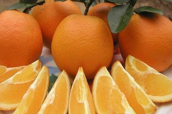 脐橙为什么叫脐橙