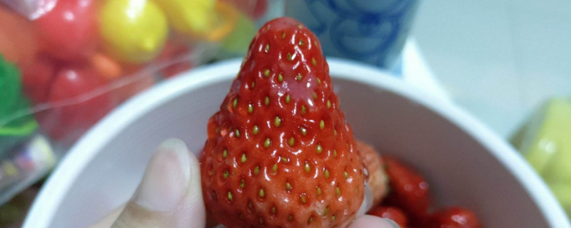 红芭蕾草莓产自哪里