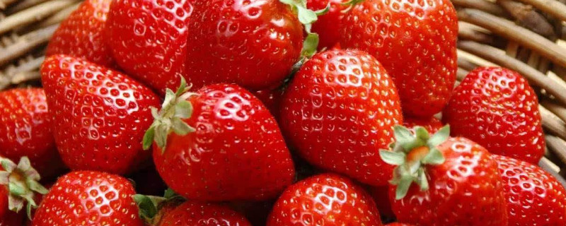 12月的草莓能吃吗