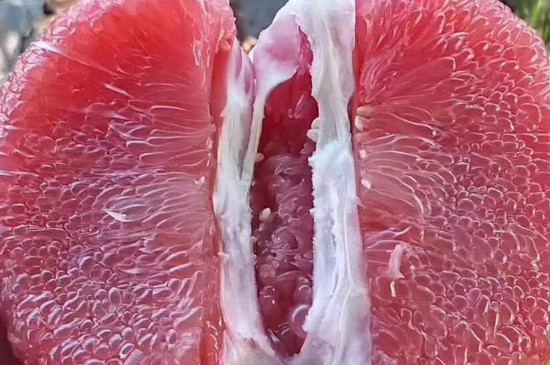 泰国红宝石血柚树特征